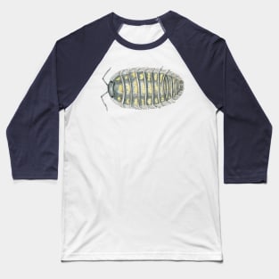 Armadillidium depressum Isopod Baseball T-Shirt